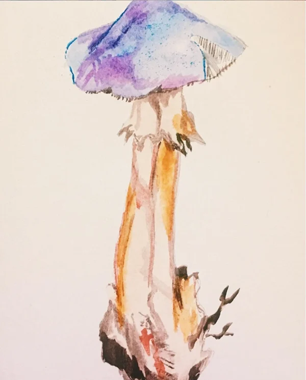 Violet watercolor mushroom