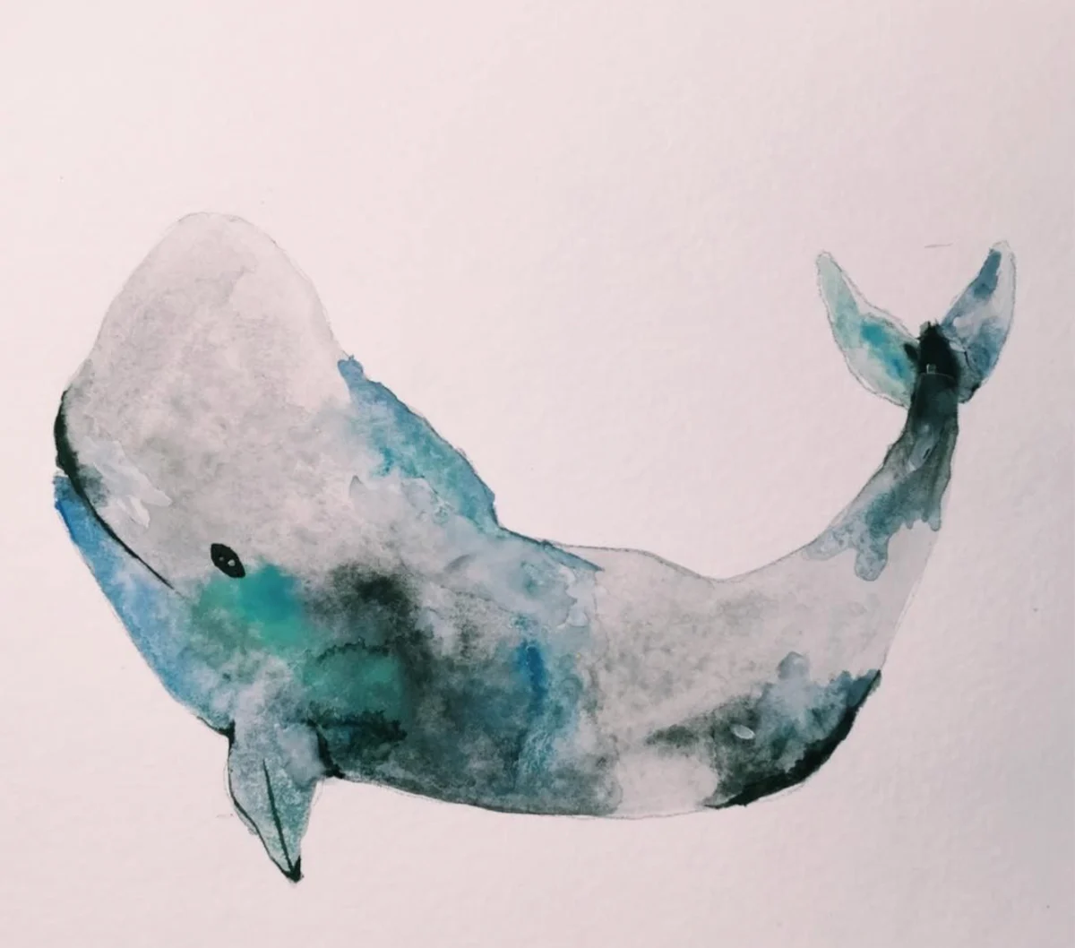 Watercolor whale