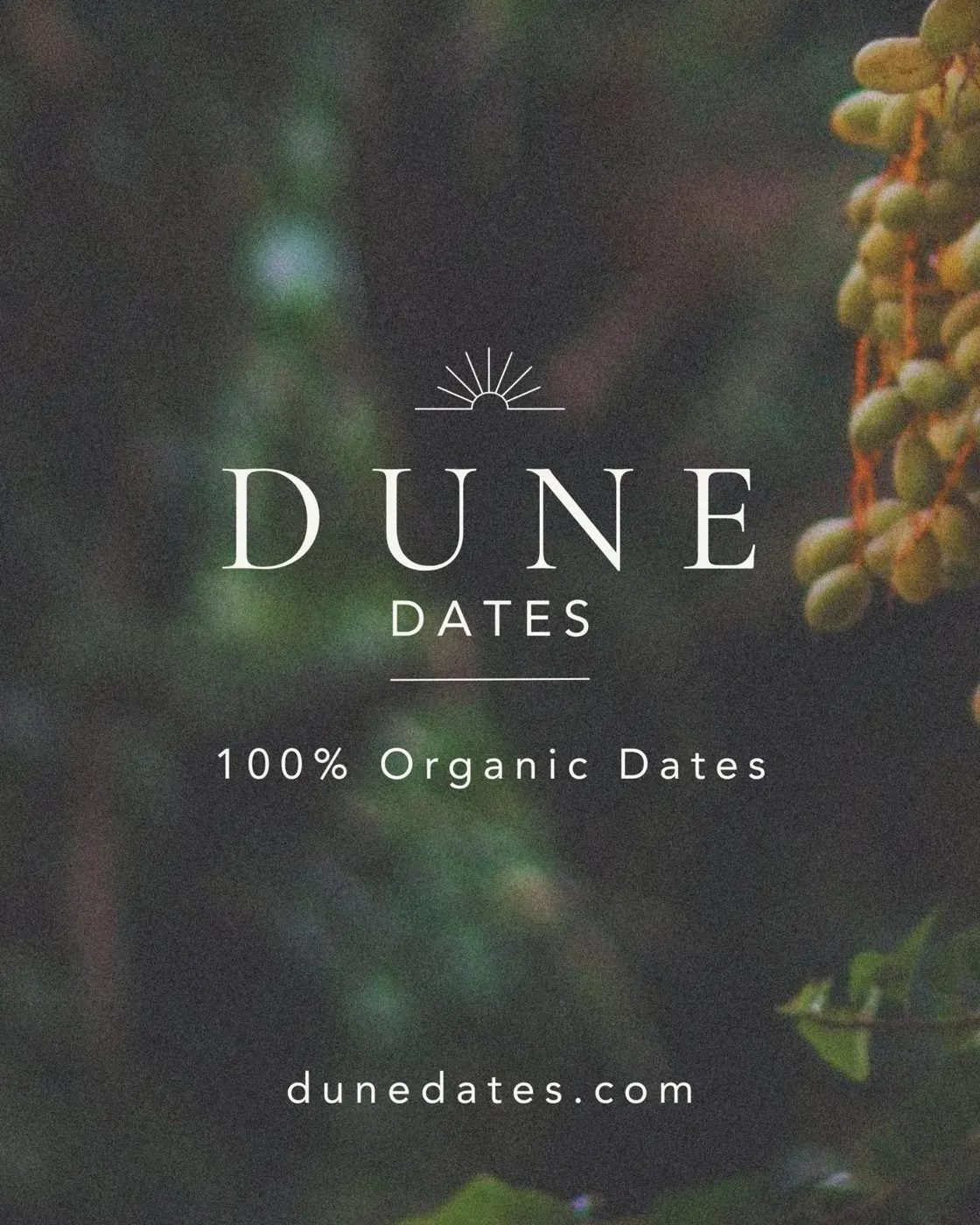Dune Dates logo over a soft-focus photo of dates on the palm, 100% Organic Dates, dunedates.com