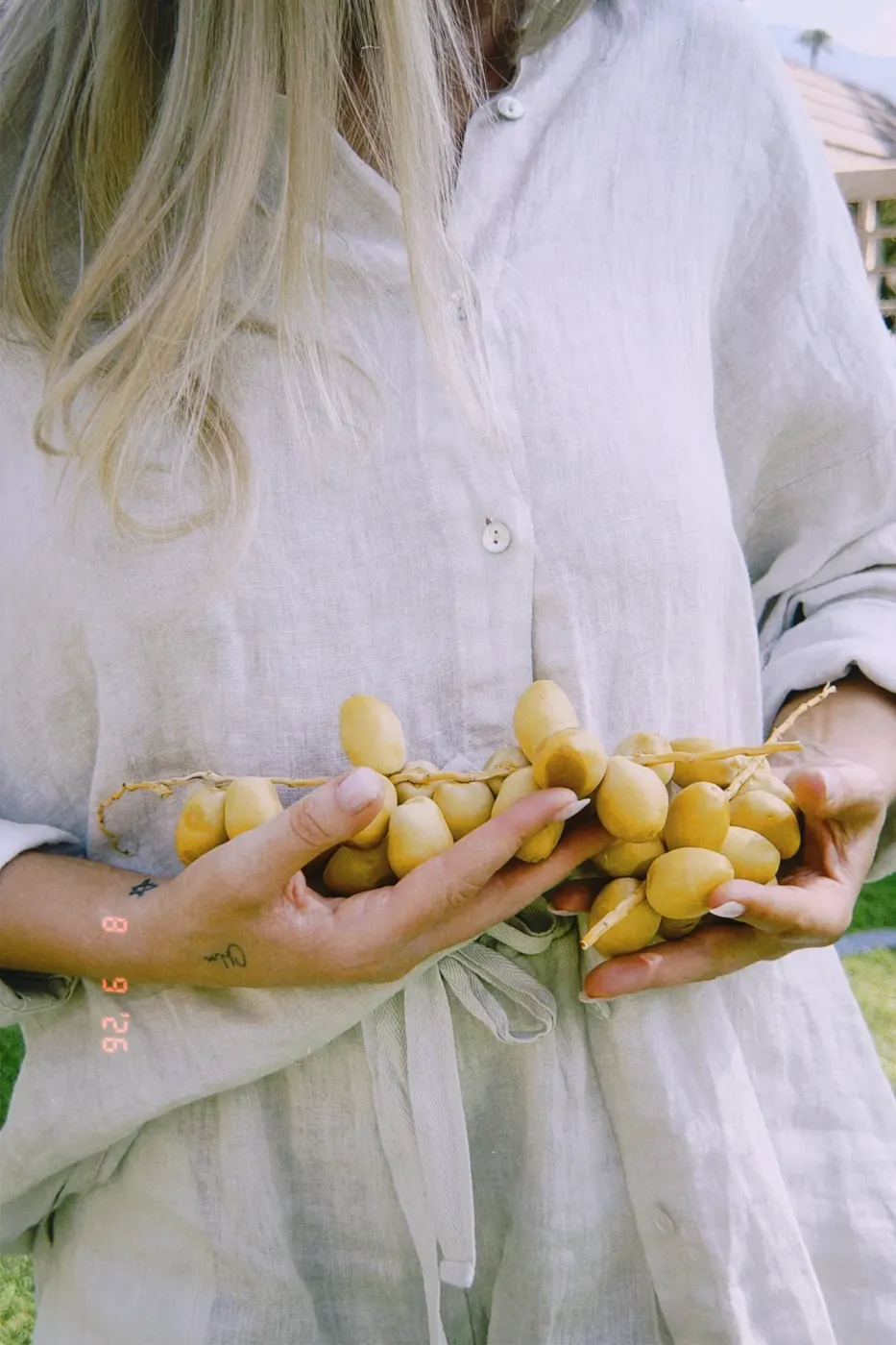 Hands holding a cluster of fresh yellow dates against a linen shirt